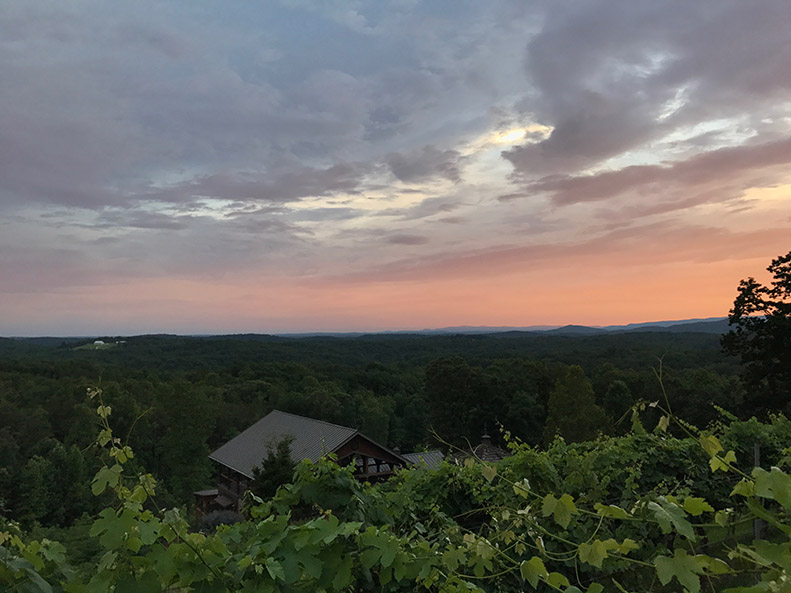 winery-sunset